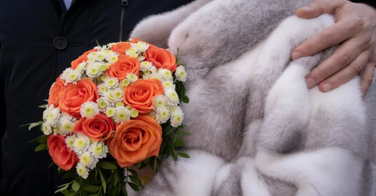 découvrez nos idées et conseils pour composer la tenue parfaite pour un mariage en hiver, alliant élégance et confort face au froid.