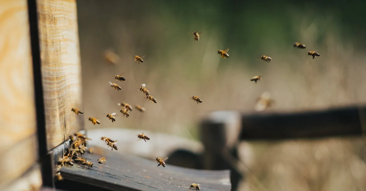 découvrez notre crème au venin d'abeille, un soin naturel puissant pour revitaliser et apaiser votre peau grâce aux propriétés uniques du venin d'abeille.