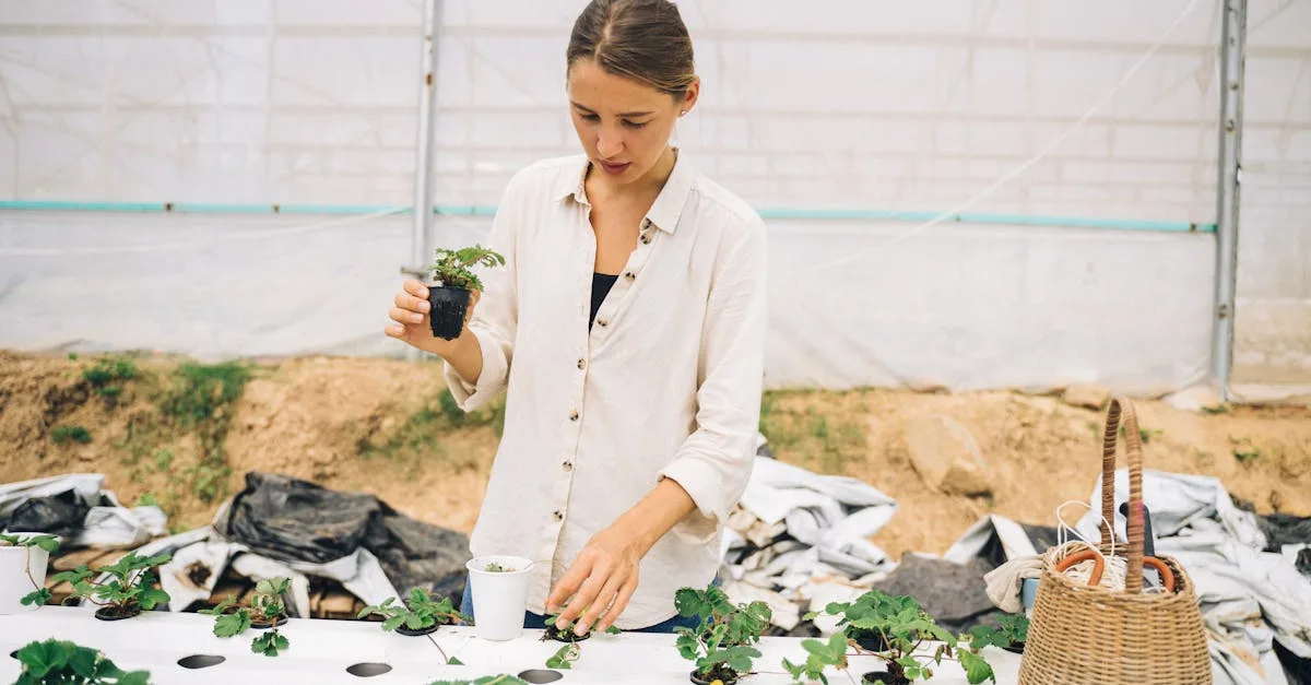 découvrez les meilleures techniques pour optimiser l'aquaponie, alliant agriculture durable et élevage de poissons pour une production efficace et respectueuse de l'environnement.