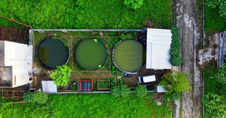 découvrez les meilleures méthodes pour optimiser votre système d'aquaponie, alliant agriculture et pisciculture de manière durable et efficace.