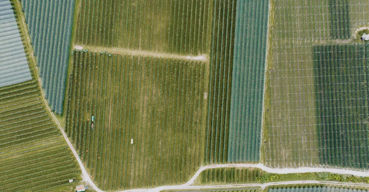 découvrez l'agriculture écologique, une méthode de culture respectueuse de l'environnement qui favorise la biodiversité, protège les sols et utilise des pratiques durables pour produire des aliments sains.