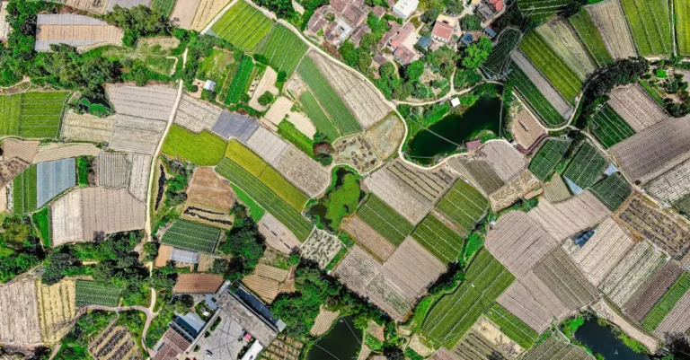 découvrez l'agriculture écologique, une méthode durable qui privilégie le respect de l'environnement, la biodiversité et la santé des sols pour produire des aliments sains.