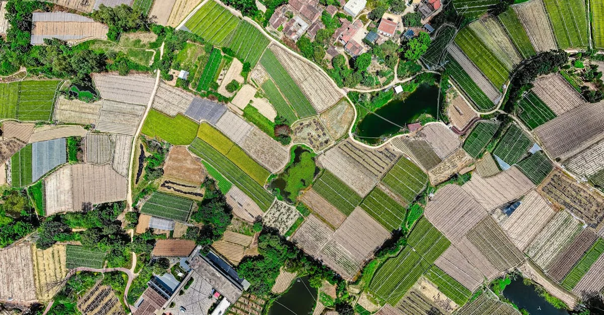 découvrez l'agriculture écologique, une méthode durable qui privilégie le respect de l'environnement, la biodiversité et la santé des sols pour produire des aliments sains.
