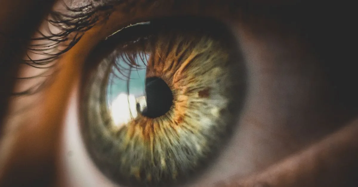 découvrez la beauté envoûtante des yeux noisette, une couleur unique qui capte la lumière et révèle des nuances chaleureuses et profondes.
