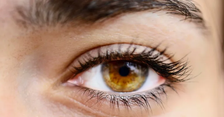 découvrez tout sur les yeux noisette : leur signification, leur beauté unique et comment les mettre en valeur au quotidien.