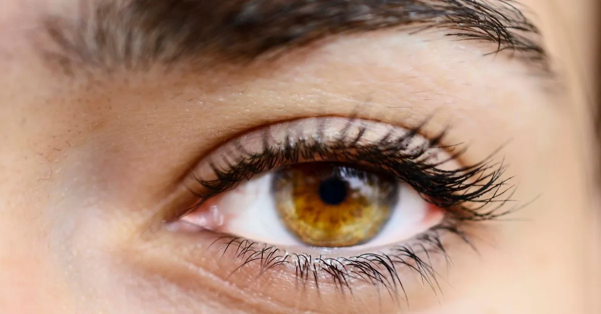 découvrez tout sur les yeux noisette : leur signification, leur beauté unique et comment les mettre en valeur au quotidien.